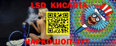 шишки Гай