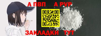 шишки Гай