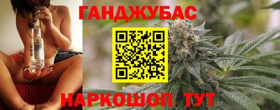 амф Гатчина