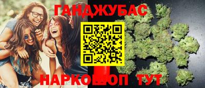 амф Гатчина