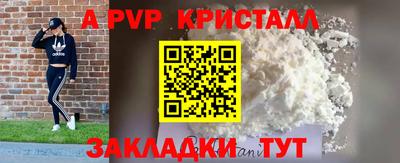 амф Гатчина