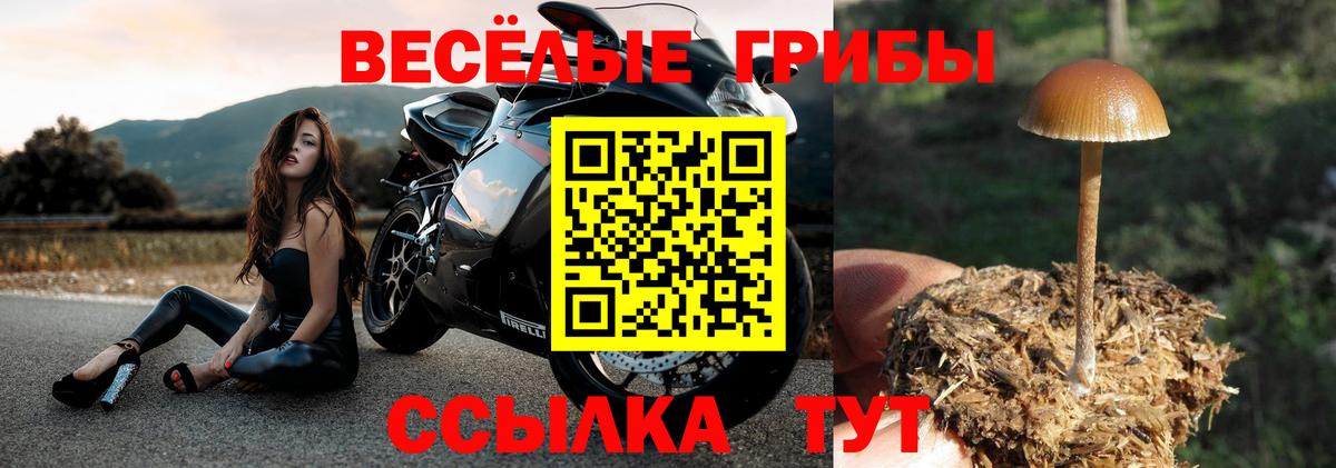 Псилоцибиновые грибы Magic Shrooms  Вход с VPN  Галлюциногенные грибы MAGIC MUSHROOMS  цены   Сергиев Посад 